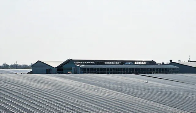 北京哪里做网站好,技术型产品如何实现高效转化